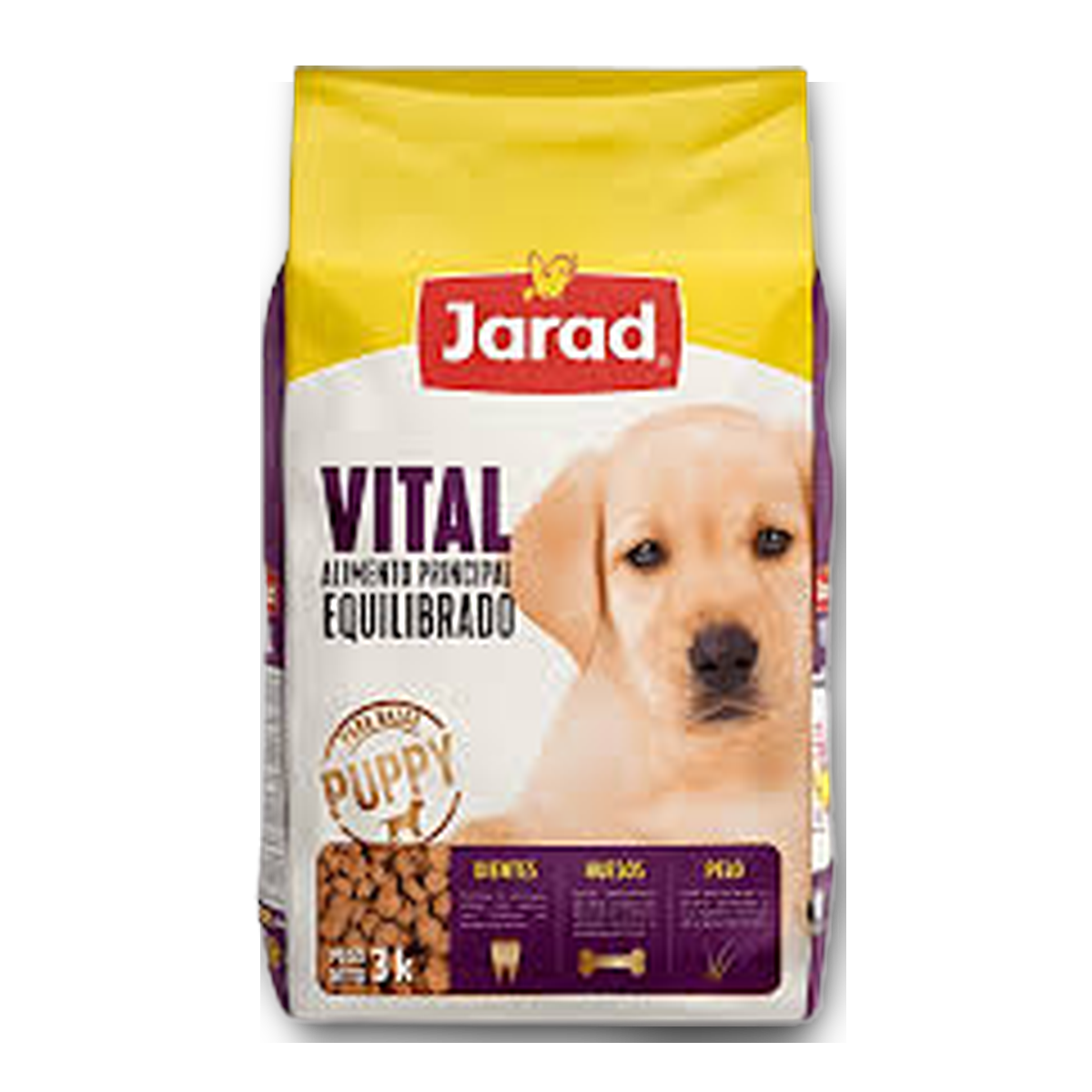 Jarad vital 